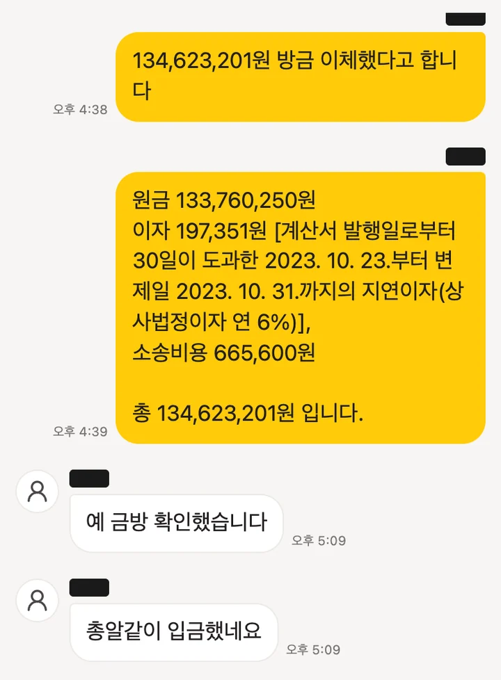 의뢰인과 주고받은 메시지 일부 (개인정보 가림)